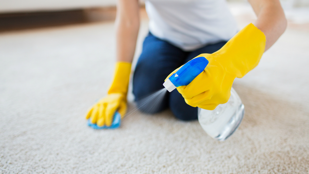 Carpet Cleaning Services