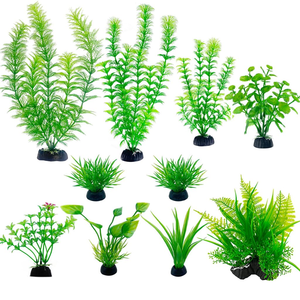 aquarium plants